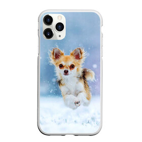 Чехол для iPhone 11 Pro матовый с принтом Чихуахуа в снегу в Петрозаводске, Силикон |  | Тематика изображения на принте: dog | животные | зима | пес | природа | снег | собака | собаки | собакчка | собачки | чихуа хуа | чихуахуа