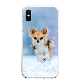 Чехол для iPhone XS Max матовый с принтом Чихуахуа в снегу в Петрозаводске, Силикон | Область печати: задняя сторона чехла, без боковых панелей | dog | животные | зима | пес | природа | снег | собака | собаки | собакчка | собачки | чихуа хуа | чихуахуа