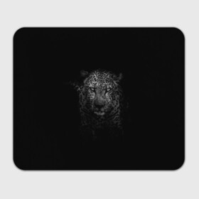 Прямоугольный коврик для мышки с принтом Ягуар выходит из тени в Петрозаводске, натуральный каучук | размер 230 х 185 мм; запечатка лицевой стороны | jaguar | барс | животное | зверь | кошка | черный | ягуар