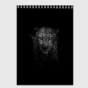 Скетчбук с принтом Ягуар выходит из тени в Петрозаводске, 100% бумага
 | 48 листов, плотность листов — 100 г/м2, плотность картонной обложки — 250 г/м2. Листы скреплены сверху удобной пружинной спиралью | jaguar | барс | животное | зверь | кошка | черный | ягуар