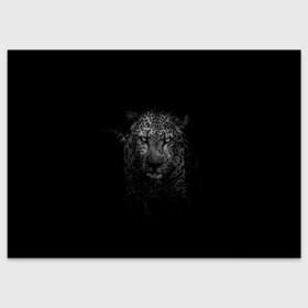 Поздравительная открытка с принтом Ягуар выходит из тени в Петрозаводске, 100% бумага | плотность бумаги 280 г/м2, матовая, на обратной стороне линовка и место для марки
 | jaguar | барс | животное | зверь | кошка | черный | ягуар