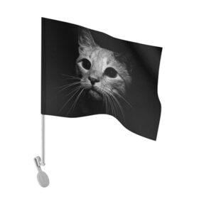 Флаг для автомобиля с принтом Чёрный кот в Петрозаводске, 100% полиэстер | Размер: 30*21 см | животное | кот | кошка | тёмный рисунок | чёрный фон