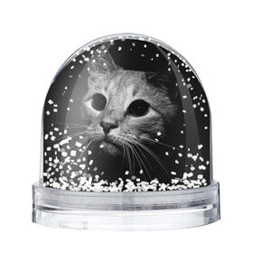 Снежный шар с принтом Чёрный кот в Петрозаводске, Пластик | Изображение внутри шара печатается на глянцевой фотобумаге с двух сторон | животное | кот | кошка | тёмный рисунок | чёрный фон