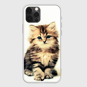 Чехол для iPhone 12 Pro Max с принтом котёнок в Петрозаводске, Силикон |  | cute kitten | kitten | котёнок | красивый котёнок | милый котёнок