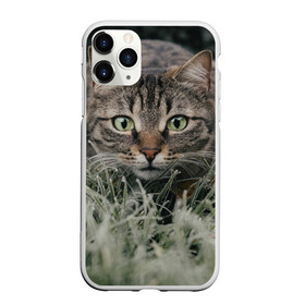 Чехол для iPhone 11 Pro Max матовый с принтом Кошка в Петрозаводске, Силикон |  | Тематика изображения на принте: животное | животные | звери | зверь | киса | киска | киски | кот | котики | коты | кошка | питомец | питомцы | природа | хищник | хищники