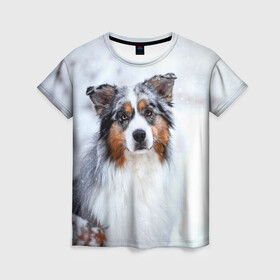 Женская футболка 3D с принтом Австралийская овчарка в Петрозаводске, 100% полиэфир ( синтетическое хлопкоподобное полотно) | прямой крой, круглый вырез горловины, длина до линии бедер | dog | австралийская | животные | овчарка | пес | природа | собака | собаки | собакчка | собачки