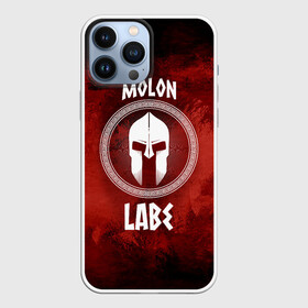 Чехол для iPhone 13 Pro Max с принтом Molon Labe в Петрозаводске,  |  | Тематика изображения на принте: molon labe | воин | греция | приди и возьми | спарта | спартанец | шлем