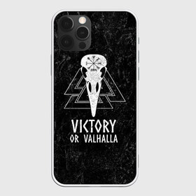 Чехол для iPhone 12 Pro Max с принтом Victory or Valhalla в Петрозаводске, Силикон |  | вальхалла | викинг | ворон | символ | скандинавия | череп | язычество