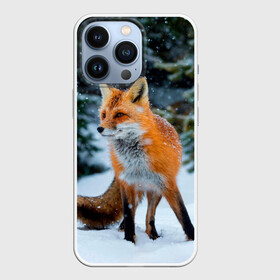 Чехол для iPhone 13 Pro с принтом Лиса в зимнем лесу в Петрозаводске,  |  | Тематика изображения на принте: fox | foxy | в | животные | звери | зима | зимний | зимняя | лес | лиса | лисичка | лисы | природа | снег | снежная