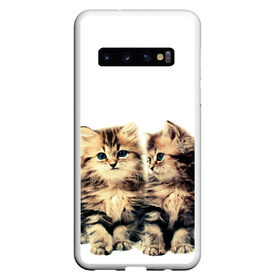 Чехол для Samsung Galaxy S10 с принтом котята в Петрозаводске, Силикон | Область печати: задняя сторона чехла, без боковых панелей | cute kittens | kittens | котята | красивые котята | милые котята
