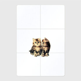 Магнитный плакат 2Х3 с принтом котята в Петрозаводске, Полимерный материал с магнитным слоем | 6 деталей размером 9*9 см | cute kittens | kittens | котята | красивые котята | милые котята