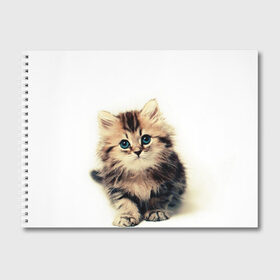 Альбом для рисования с принтом катёнок в Петрозаводске, 100% бумага
 | матовая бумага, плотность 200 мг. | Тематика изображения на принте: cute kitten | kitten | котёнок | красивый котёнок | милый котёнок