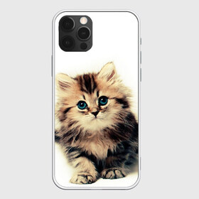 Чехол для iPhone 12 Pro Max с принтом катёнок в Петрозаводске, Силикон |  | cute kitten | kitten | котёнок | красивый котёнок | милый котёнок