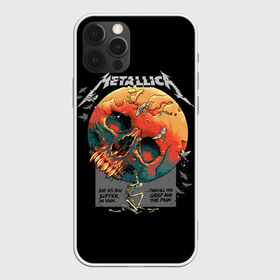 Чехол для iPhone 12 Pro Max с принтом Metallica в Петрозаводске, Силикон |  | Тематика изображения на принте: metal | metallica | rock | джеймс хэтфилд | классика | легенда | метал | металлика | популярное | рок | рокгруппа