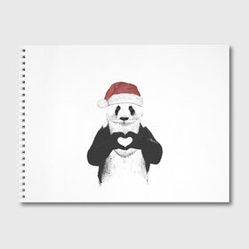 Альбом для рисования с принтом Панда Клаус в Петрозаводске, 100% бумага
 | матовая бумага, плотность 200 мг. | 2021 | 21 | 2k21 | 2к21 | chrystmas | happy | marry | new | panda | santa | snow | winter | xmas | year | год | годом | дед | елка | елки | клаус | лес | мороз | настроение | новогоднее | новогоднему | новый | новым | панда | по | рождество | с