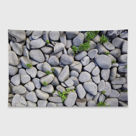Флаг-баннер с принтом Камни в Петрозаводске, 100% полиэстер | размер 67 х 109 см, плотность ткани — 95 г/м2; по краям флага есть четыре люверса для крепления | абстрактно | абстрактные | абстрактный | абстракция | галька | каменные | каменный | камень | камни | камушки | клевер | природа | растения
