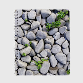 Тетрадь с принтом Камни в Петрозаводске, 100% бумага | 48 листов, плотность листов — 60 г/м2, плотность картонной обложки — 250 г/м2. Листы скреплены сбоку удобной пружинной спиралью. Уголки страниц и обложки скругленные. Цвет линий — светло-серый
 | абстрактно | абстрактные | абстрактный | абстракция | галька | каменные | каменный | камень | камни | камушки | клевер | природа | растения