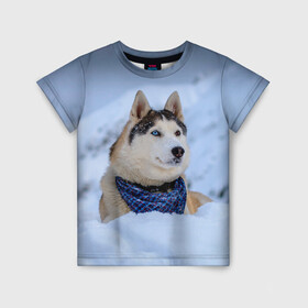Детская футболка 3D с принтом Хаски в Петрозаводске, 100% гипоаллергенный полиэфир | прямой крой, круглый вырез горловины, длина до линии бедер, чуть спущенное плечо, ткань немного тянется | dog | животные | пес | природа | собака | собаки | собакчка | собачки | хаски