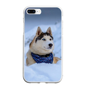 Чехол для iPhone 7Plus/8 Plus матовый с принтом Хаски в Петрозаводске, Силикон | Область печати: задняя сторона чехла, без боковых панелей | dog | животные | пес | природа | собака | собаки | собакчка | собачки | хаски