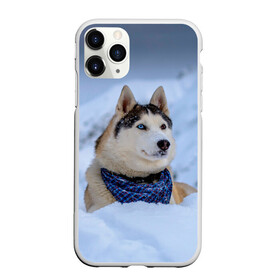 Чехол для iPhone 11 Pro матовый с принтом Хаски в Петрозаводске, Силикон |  | dog | животные | пес | природа | собака | собаки | собакчка | собачки | хаски