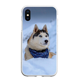 Чехол для iPhone XS Max матовый с принтом Хаски в Петрозаводске, Силикон | Область печати: задняя сторона чехла, без боковых панелей | dog | животные | пес | природа | собака | собаки | собакчка | собачки | хаски