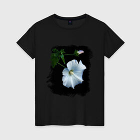 Женская футболка хлопок с принтом Лаватера в Петрозаводске, 100% хлопок | прямой крой, круглый вырез горловины, длина до линии бедер, слегка спущенное плечо | букет | лаватера | лето | растение | сад | фото лаватеры | цветок