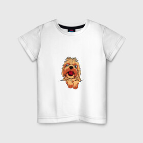 Детская футболка хлопок с принтом Ши Тцу в Петрозаводске, 100% хлопок | круглый вырез горловины, полуприлегающий силуэт, длина до линии бедер | домашнее животное | звери | картинки | милый | мультфильмы | популярные | прикольные | собака | ши тцу | щенок