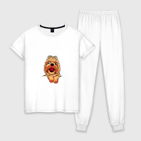 Женская пижама хлопок с принтом Ши Тцу в Петрозаводске, 100% хлопок | брюки и футболка прямого кроя, без карманов, на брюках мягкая резинка на поясе и по низу штанин | домашнее животное | звери | картинки | милый | мультфильмы | популярные | прикольные | собака | ши тцу | щенок
