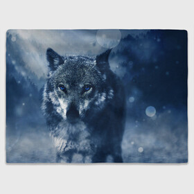 Плед 3D с принтом Красивый волк в Петрозаводске, 100% полиэстер | закругленные углы, все края обработаны. Ткань не мнется и не растягивается | wolf | ауф | волк | волчонок | зима | синеглазый волк