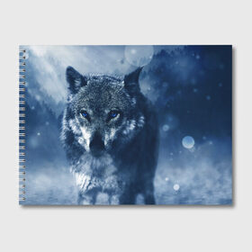 Альбом для рисования с принтом Красивый волк в Петрозаводске, 100% бумага
 | матовая бумага, плотность 200 мг. | wolf | ауф | волк | волчонок | зима | синеглазый волк