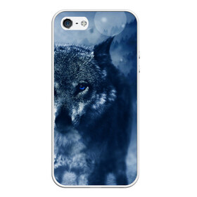 Чехол для iPhone 5/5S матовый с принтом Красивый волк в Петрозаводске, Силикон | Область печати: задняя сторона чехла, без боковых панелей | wolf | ауф | волк | волчонок | зима | синеглазый волк