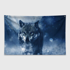 Флаг-баннер с принтом Красивый волк в Петрозаводске, 100% полиэстер | размер 67 х 109 см, плотность ткани — 95 г/м2; по краям флага есть четыре люверса для крепления | wolf | ауф | волк | волчонок | зима | синеглазый волк