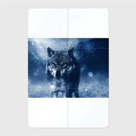 Магнитный плакат 2Х3 с принтом Красивый волк в Петрозаводске, Полимерный материал с магнитным слоем | 6 деталей размером 9*9 см | wolf | ауф | волк | волчонок | зима | синеглазый волк