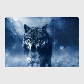 Магнитный плакат 3Х2 с принтом Красивый волк в Петрозаводске, Полимерный материал с магнитным слоем | 6 деталей размером 9*9 см | wolf | ауф | волк | волчонок | зима | синеглазый волк