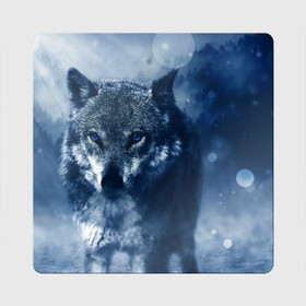 Магнит виниловый Квадрат с принтом Красивый волк в Петрозаводске, полимерный материал с магнитным слоем | размер 9*9 см, закругленные углы | wolf | ауф | волк | волчонок | зима | синеглазый волк