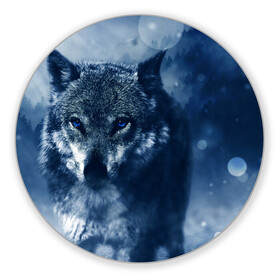Коврик для мышки круглый с принтом Красивый волк в Петрозаводске, резина и полиэстер | круглая форма, изображение наносится на всю лицевую часть | wolf | ауф | волк | волчонок | зима | синеглазый волк