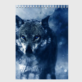 Скетчбук с принтом Красивый волк в Петрозаводске, 100% бумага
 | 48 листов, плотность листов — 100 г/м2, плотность картонной обложки — 250 г/м2. Листы скреплены сверху удобной пружинной спиралью | wolf | ауф | волк | волчонок | зима | синеглазый волк