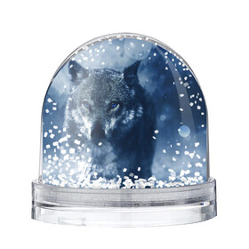 Снежный шар с принтом Красивый волк в Петрозаводске, Пластик | Изображение внутри шара печатается на глянцевой фотобумаге с двух сторон | wolf | ауф | волк | волчонок | зима | синеглазый волк