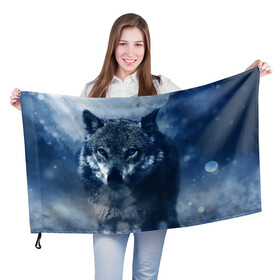 Флаг 3D с принтом Красивый волк в Петрозаводске, 100% полиэстер | плотность ткани — 95 г/м2, размер — 67 х 109 см. Принт наносится с одной стороны | wolf | ауф | волк | волчонок | зима | синеглазый волк