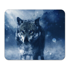 Коврик для мышки прямоугольный с принтом Красивый волк в Петрозаводске, натуральный каучук | размер 230 х 185 мм; запечатка лицевой стороны | wolf | ауф | волк | волчонок | зима | синеглазый волк