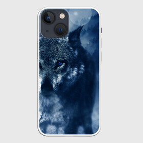 Чехол для iPhone 13 mini с принтом Красивый волк в Петрозаводске,  |  | wolf | ауф | волк | волчонок | зима | синеглазый волк