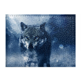 Обложка для студенческого билета с принтом Красивый волк в Петрозаводске, натуральная кожа | Размер: 11*8 см; Печать на всей внешней стороне | wolf | ауф | волк | волчонок | зима | синеглазый волк