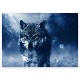 Поздравительная открытка с принтом Красивый волк в Петрозаводске, 100% бумага | плотность бумаги 280 г/м2, матовая, на обратной стороне линовка и место для марки
 | wolf | ауф | волк | волчонок | зима | синеглазый волк