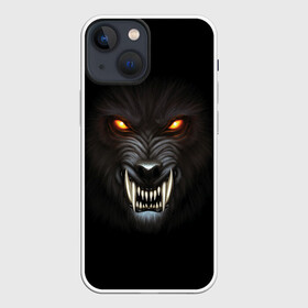 Чехол для iPhone 13 mini с принтом Злой Волк в Петрозаводске,  |  | wolf | волк | волкодав | волколак | волчара | вурдалак | зверь | зов волка | морской волк | оборотень | оскал | рисунок волка | санитар леса | серый волк | хищник | чертог волка | эра волка
