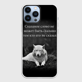 Чехол для iPhone 13 Pro Max с принтом ЦИТАТА ВОЛКА в Петрозаводске,  |  | doomer | meme | pepe. | zoomer | а.у.ф. | ауф | бумер | все на бунд | думер | зумер | мемы | пепе | цитаты волка | ъуъ