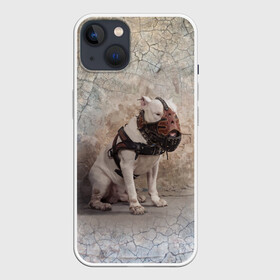 Чехол для iPhone 13 с принтом Бойцовый бультерьер в Петрозаводске,  |  | bull terrier | dog | ears | eyes | muzzle | paws | plaster | texture | wall | бультерьер | глаза | лапы | намордник | пёс | собака | стена | текстура | уши | штукатурка