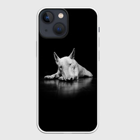 Чехол для iPhone 13 mini с принтом Puppy в Петрозаводске,  |  | bull terrier | dog | ears | eyes | muzzle | nose | paws | puppy | бультерьер | глаза | лапы | нос | уши | щенок