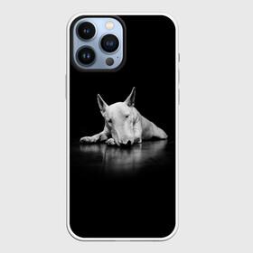 Чехол для iPhone 13 Pro Max с принтом Puppy в Петрозаводске,  |  | bull terrier | dog | ears | eyes | muzzle | nose | paws | puppy | бультерьер | глаза | лапы | нос | уши | щенок