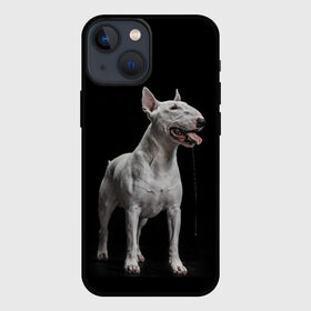 Чехол для iPhone 13 mini с принтом Bully в Петрозаводске,  |  | bull terrier | dog | ears | eyes | fangs | jaw | muzzle | paws | saliva | tongue | бультерьер | глаза | клыки | лапы | нос | пасть | слюна | собака | уши | язык