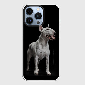 Чехол для iPhone 13 Pro с принтом Bully в Петрозаводске,  |  | bull terrier | dog | ears | eyes | fangs | jaw | muzzle | paws | saliva | tongue | бультерьер | глаза | клыки | лапы | нос | пасть | слюна | собака | уши | язык